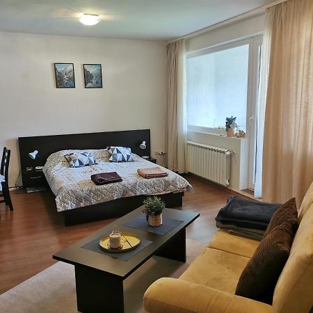 Sunny Studio Apartment - Few Steps From Gondola 반스코 외부 사진
