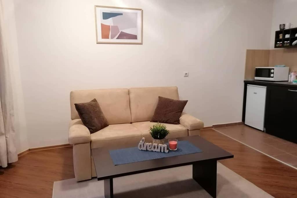 Sunny Studio Apartment - Few Steps From Gondola 반스코 외부 사진