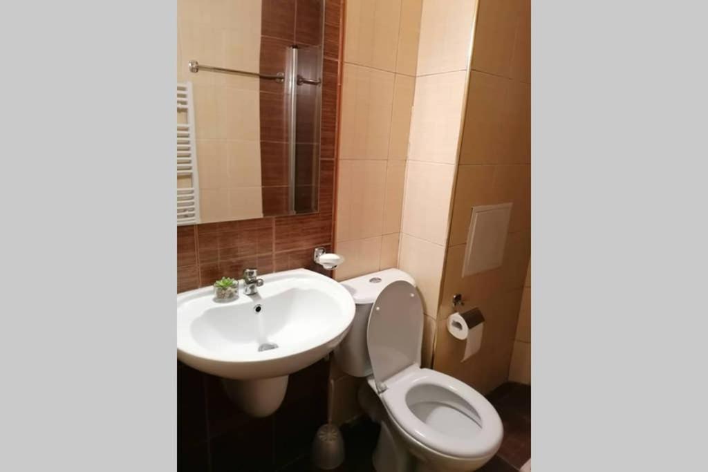 Sunny Studio Apartment - Few Steps From Gondola 반스코 외부 사진