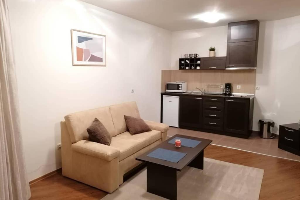 Sunny Studio Apartment - Few Steps From Gondola 반스코 외부 사진