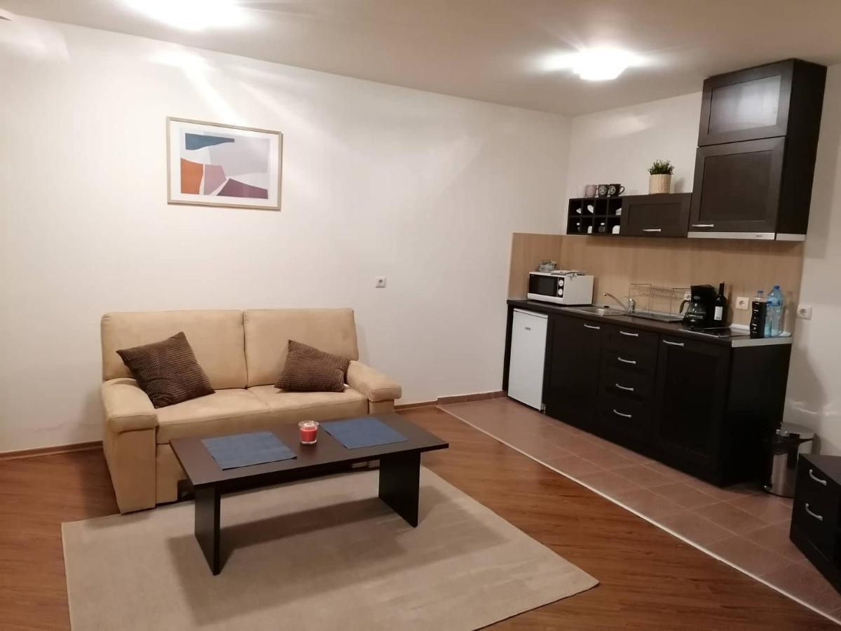 Sunny Studio Apartment - Few Steps From Gondola 반스코 외부 사진