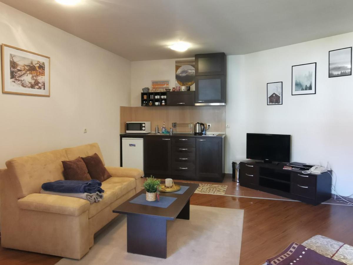 Sunny Studio Apartment - Few Steps From Gondola 반스코 외부 사진