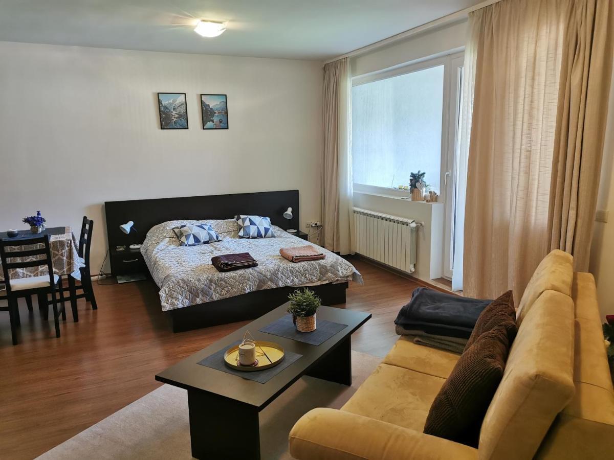 Sunny Studio Apartment - Few Steps From Gondola 반스코 외부 사진