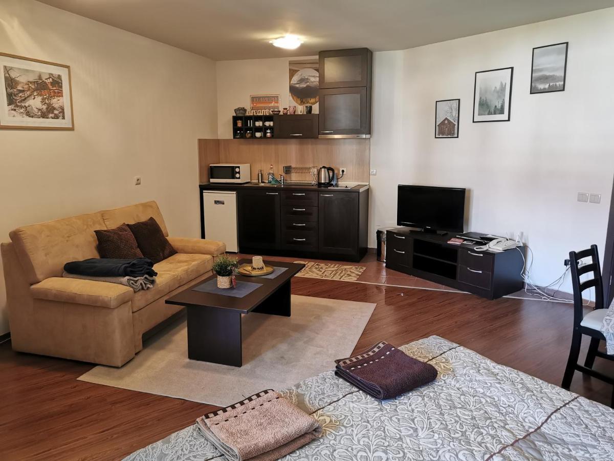 Sunny Studio Apartment - Few Steps From Gondola 반스코 외부 사진